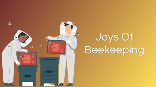 Joys Of Beekeeping, How Beekeeping is done