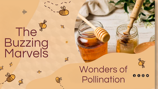 Wonders of Pollination by Honeybees and beekeeping